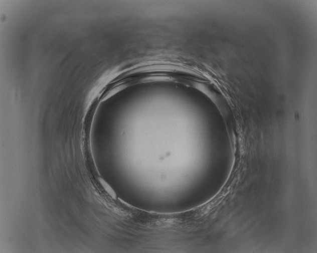 X0000068810152200605121259