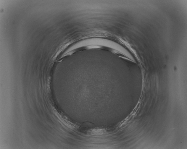 X0000068810154200605121259