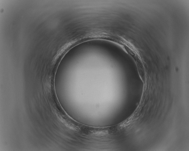 X0000068810155200605121259