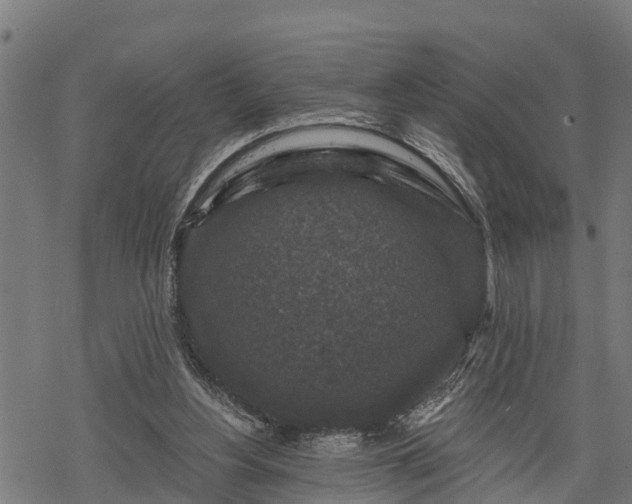 X0000068810156200605121259