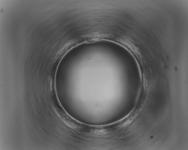 X0000068810157200605121259