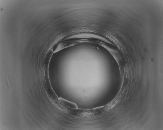 X0000068810158200605121259