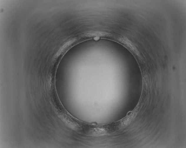 X0000068810159200605121259