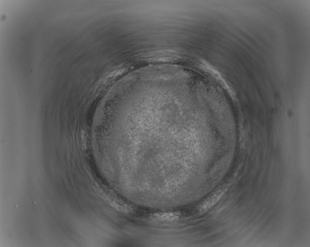 X0000068810161200605121259