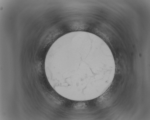 X0000068810162200605121259