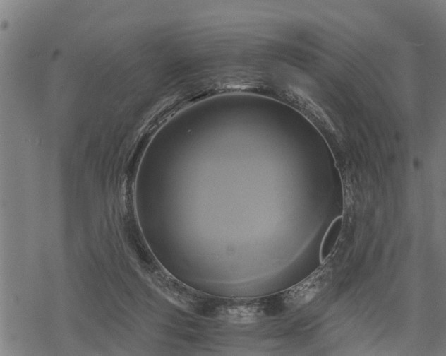 X0000068810163200605121259