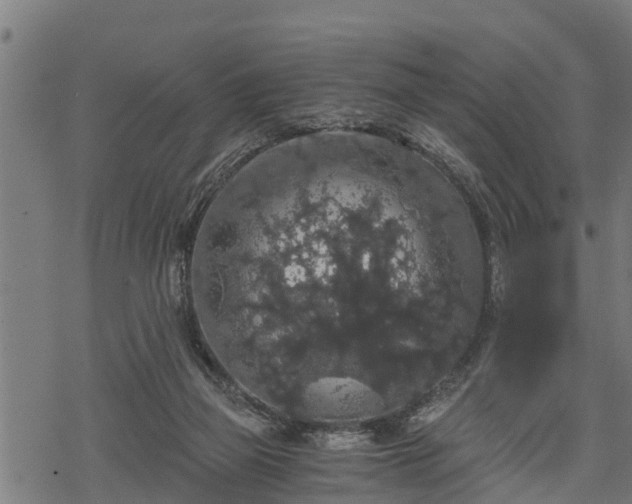 X0000068810165200605121259