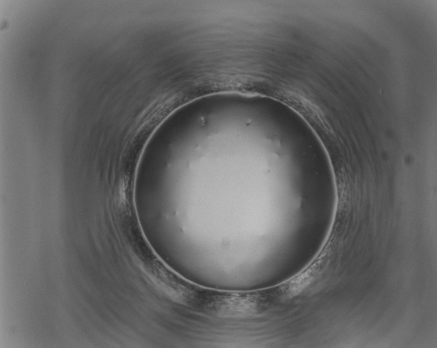 X0000068810166200605121259