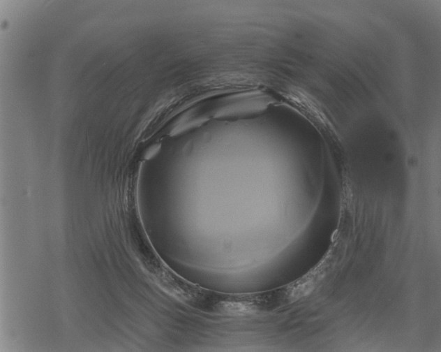 X0000068810167200605121259