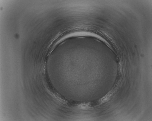 X0000068810168200605121259