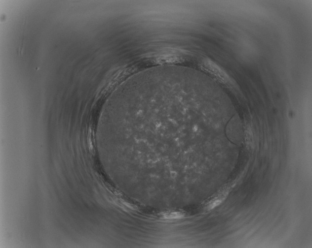 X0000068810169200605121259