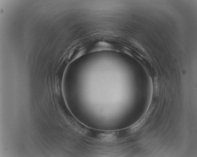 X0000068810170200605121259