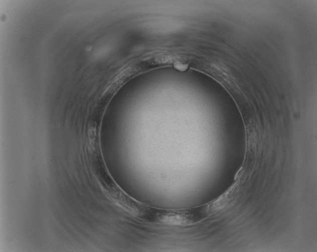 X0000068810171200605121259