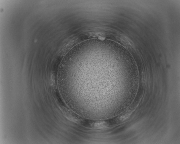 X0000068810173200605121259