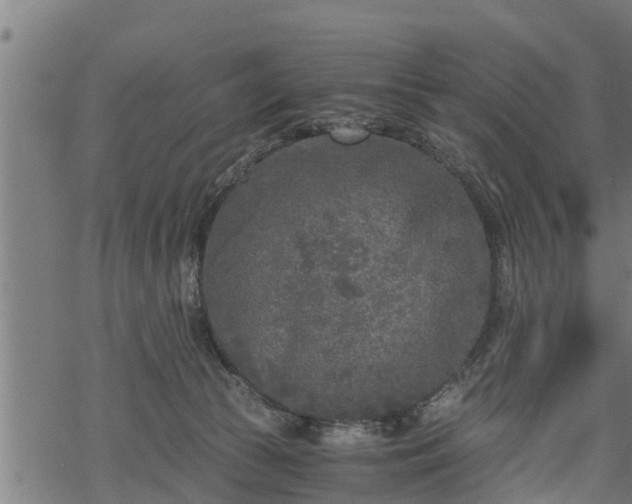 X0000068810177200605121300