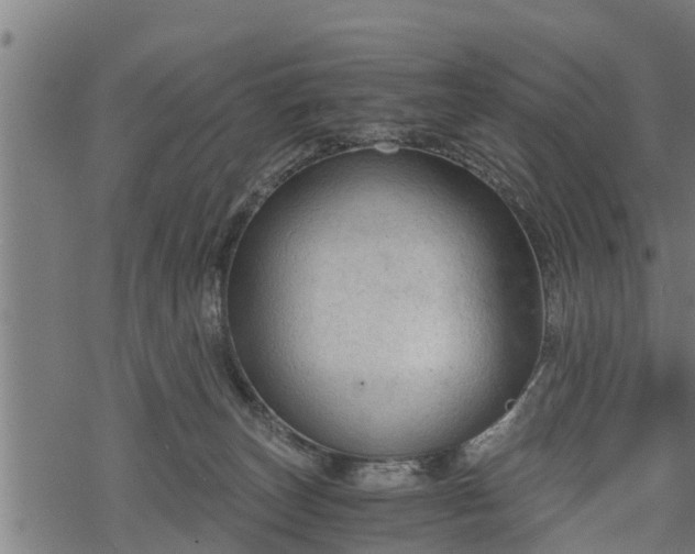 X0000068810179200605121300