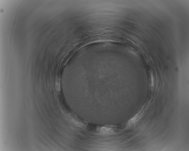 X0000068810180200605121300