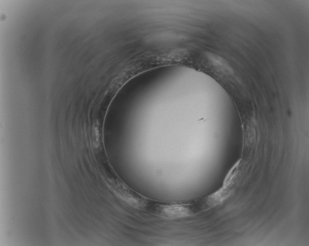 X0000068810183200605121300