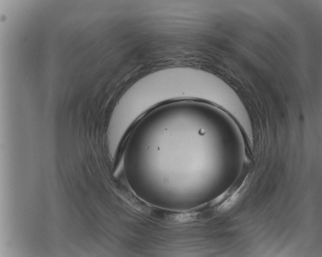 X0000068810184200605121300