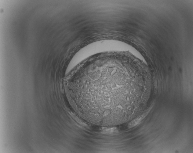 X0000068810185200605121300