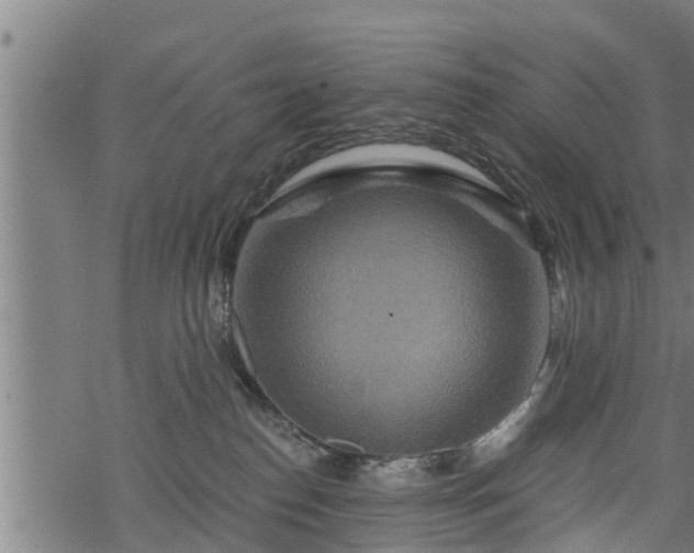 X0000068810186200605121300