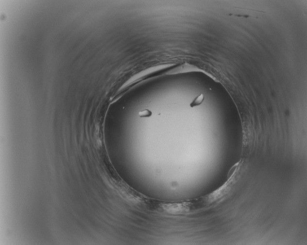 X0000068810187200605121300