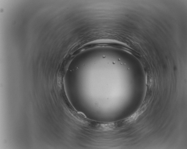 X0000068810188200605121300