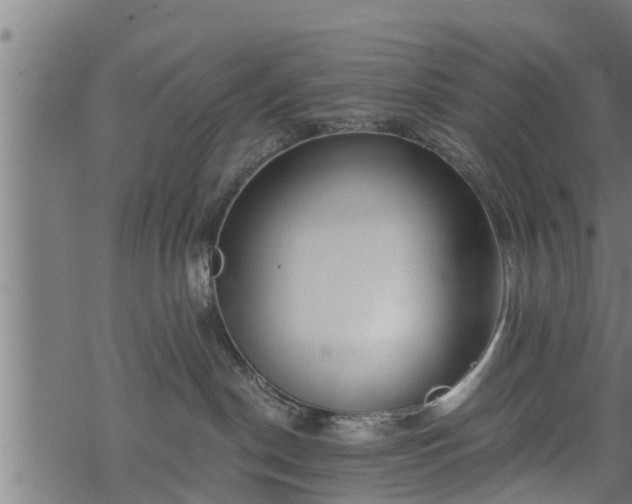 X0000068810190200605121300