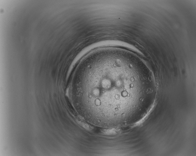 X0000068810191200605121300