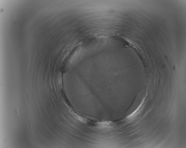 X0000068810192200605121300