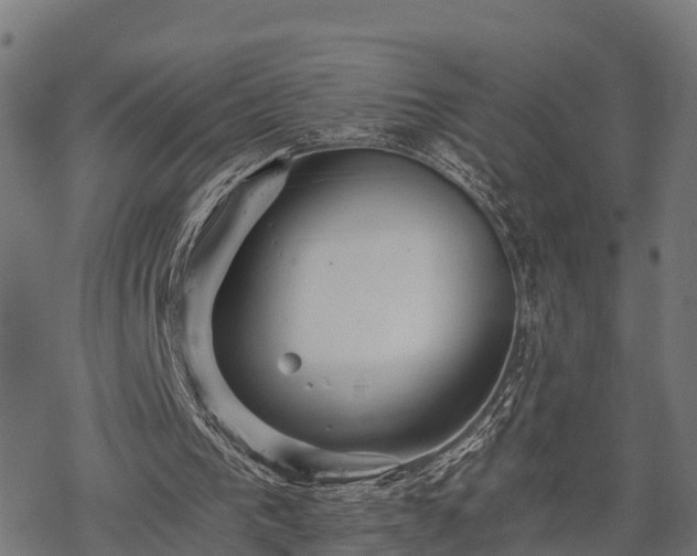 X0000068810193200605121259