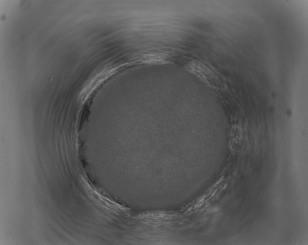 X0000068810194200605121259