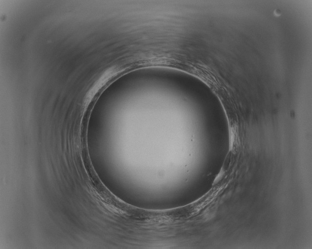 X0000068810195200605121259