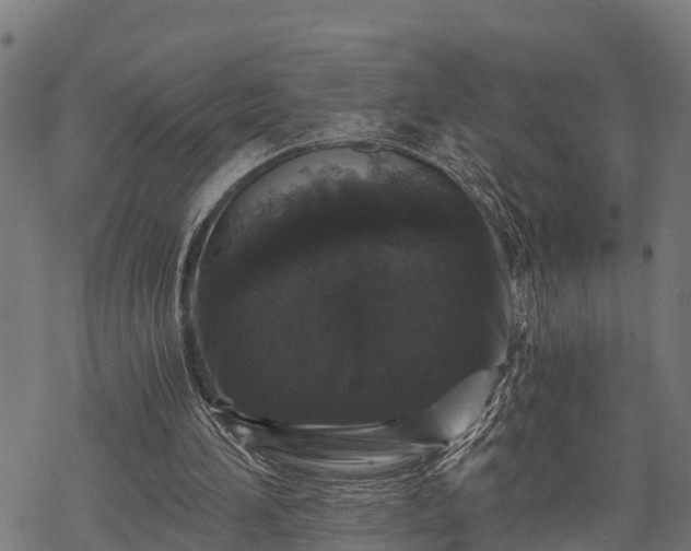 X0000068810196200605121259