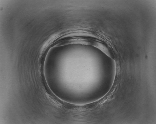 X0000068810197200605121259