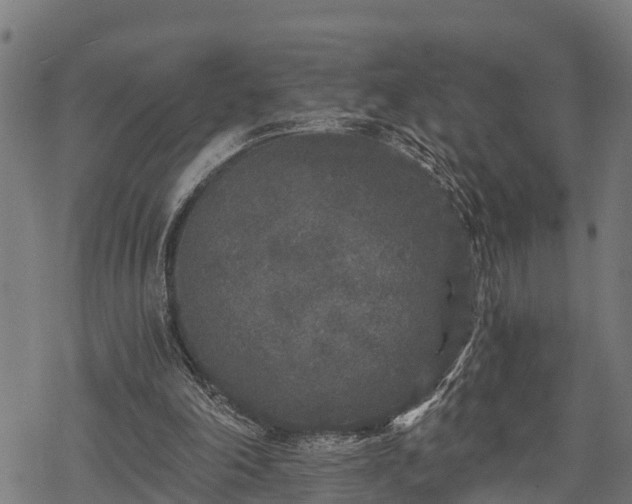 X0000068810198200605121259