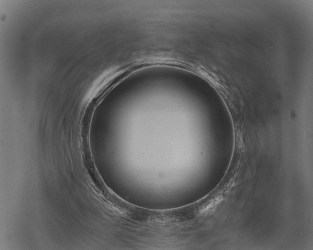 X0000068810199200605121259