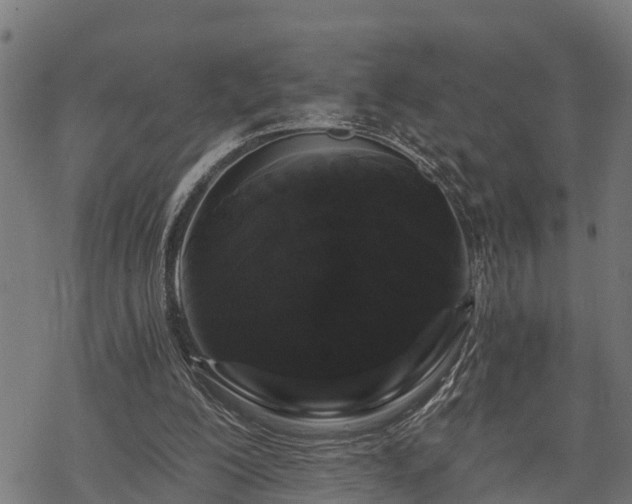 X0000068810200200605121259