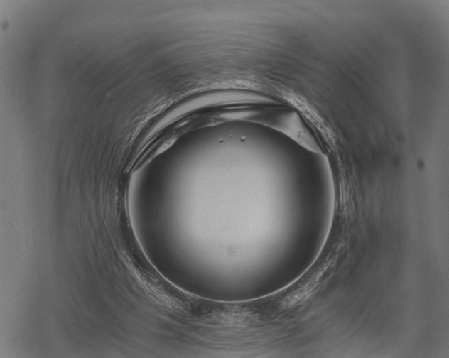 X0000068810201200605121259