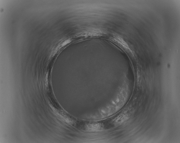 X0000068810202200605121259