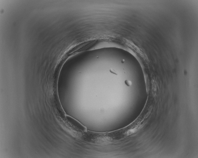 X0000068810203200605121259