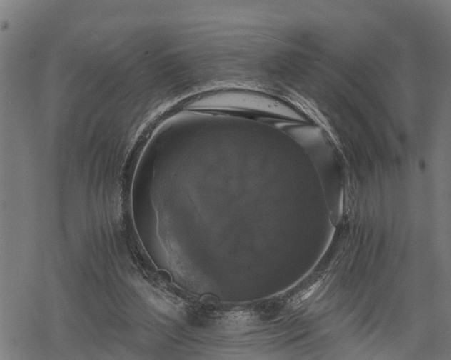 X0000068810204200605121259