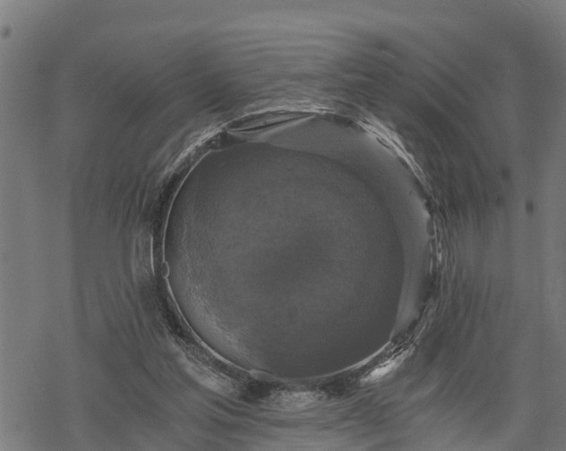 X0000068810205200605121259