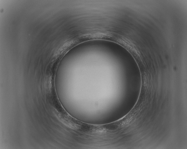 X0000068810206200605121259