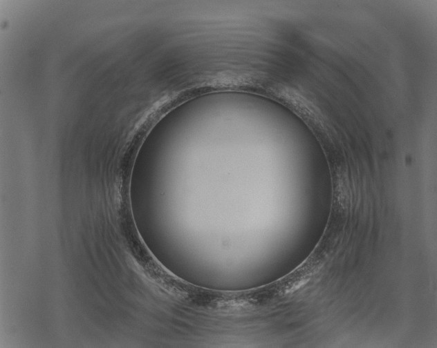 X0000068810208200605121259