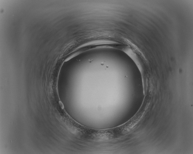 X0000068810209200605121259