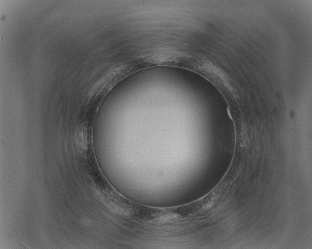 X0000068810210200605121259