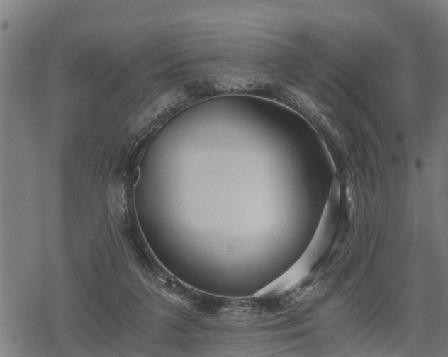 X0000068810211200605121259