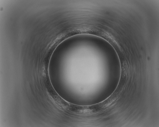 X0000068810212200605121259