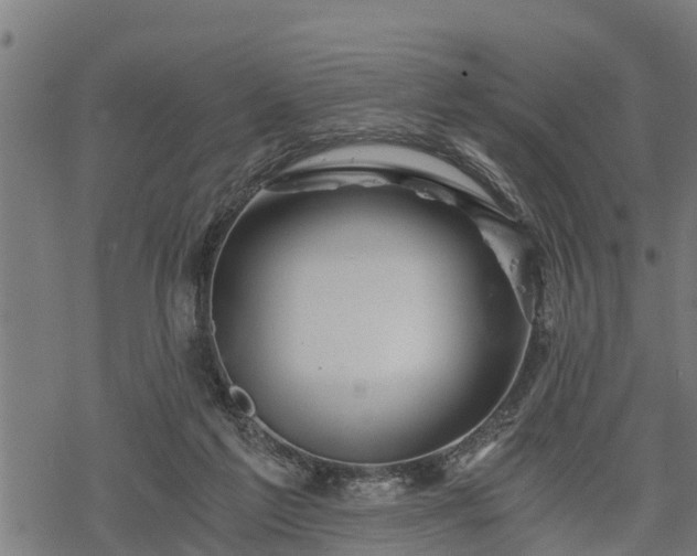 X0000068810213200605121259